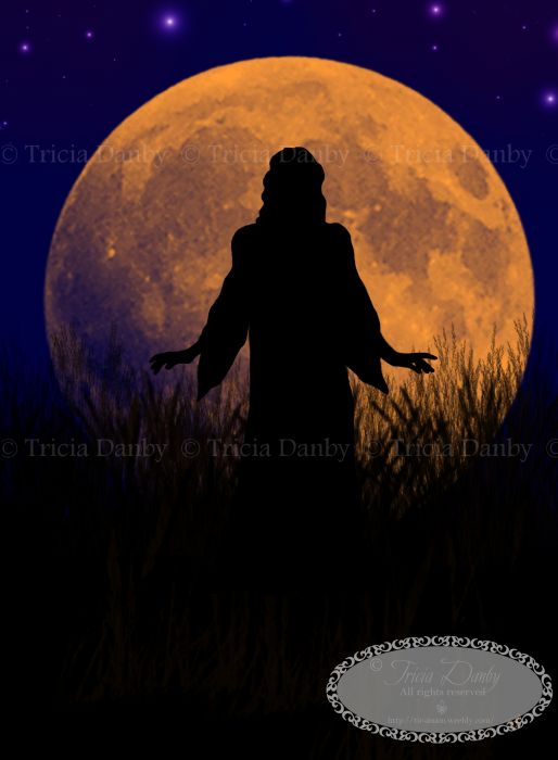 Harvest Moon Witch by Tricia Danby